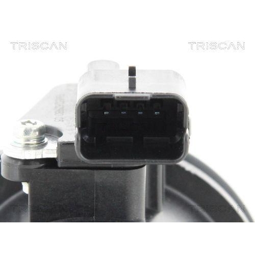 TRISCAN Luftmassenmesser