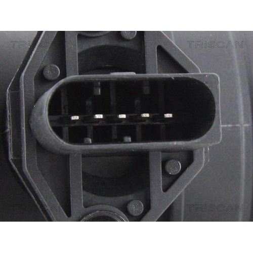 TRISCAN Luftmassenmesser