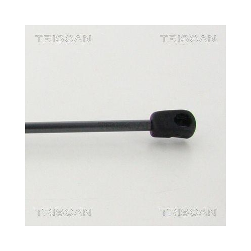 TRISCAN Gasfeder, Koffer-/Laderaum