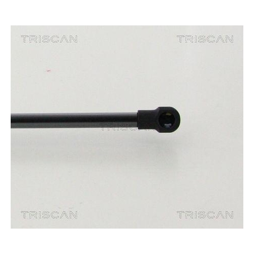 TRISCAN Gasfeder, Koffer-/Laderaum