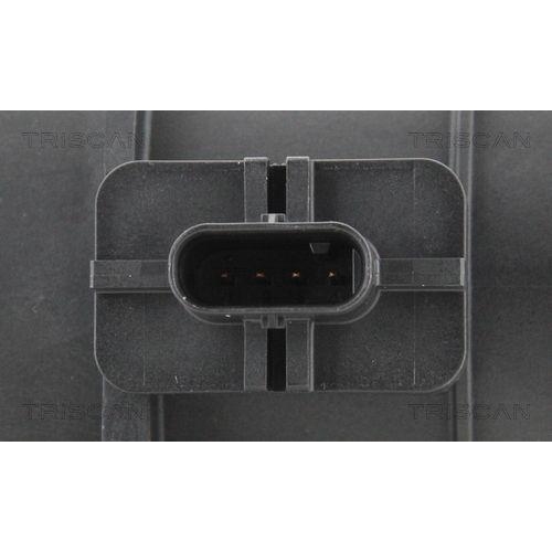 TRISCAN Luftmassenmesser