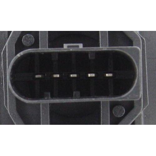 TRISCAN Luftmassenmesser