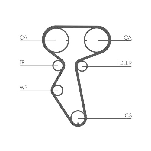 CONTINENTAL CTAM Zahnriemen