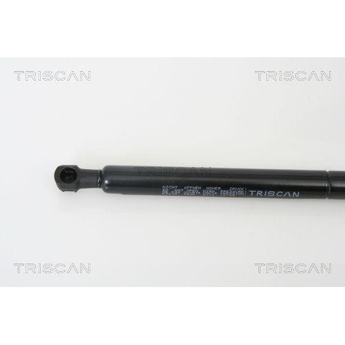 TRISCAN Gasfeder, Koffer-/Laderaum