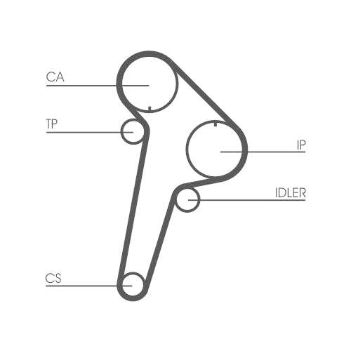 CONTINENTAL CTAM Zahnriemen