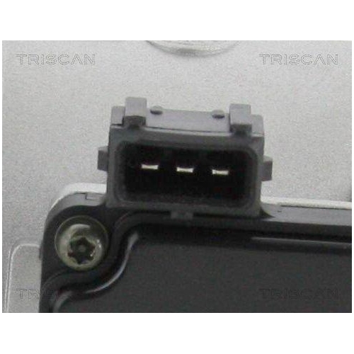 TRISCAN Luftmassenmesser