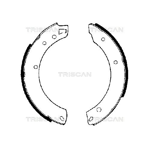 TRISCAN Bremsbackensatz, Feststellbremse