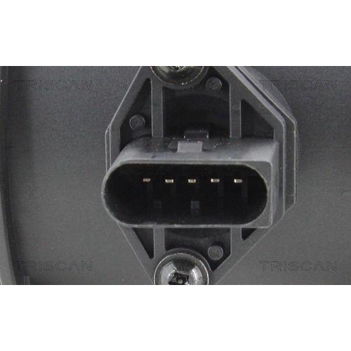 TRISCAN Luftmassenmesser