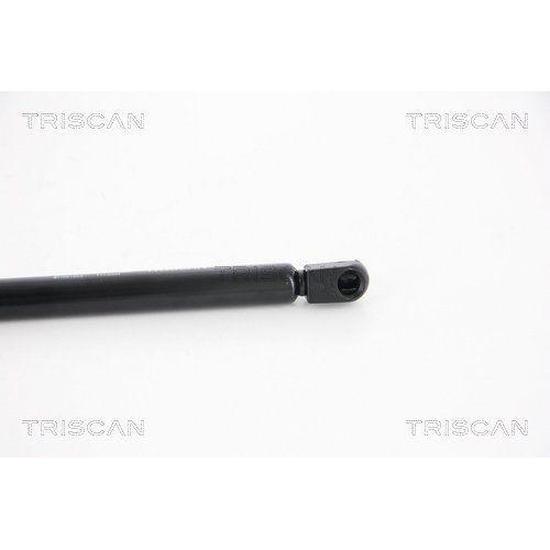 TRISCAN Gasfeder, Koffer-/Laderaum