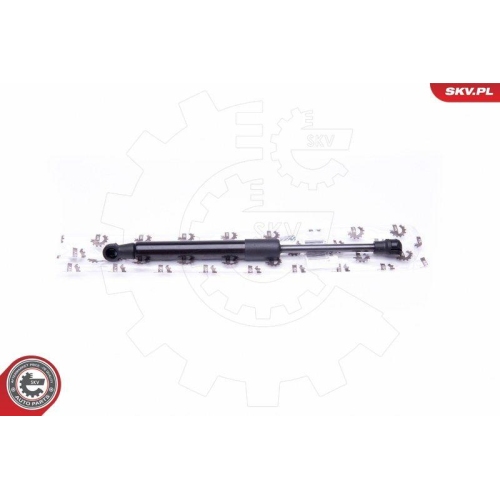 ESEN SKV Gasfeder, Koffer-/Laderaum