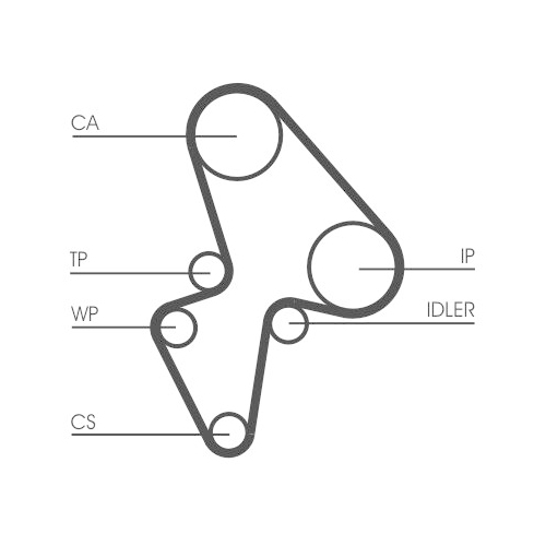 CONTINENTAL CTAM Zahnriemen