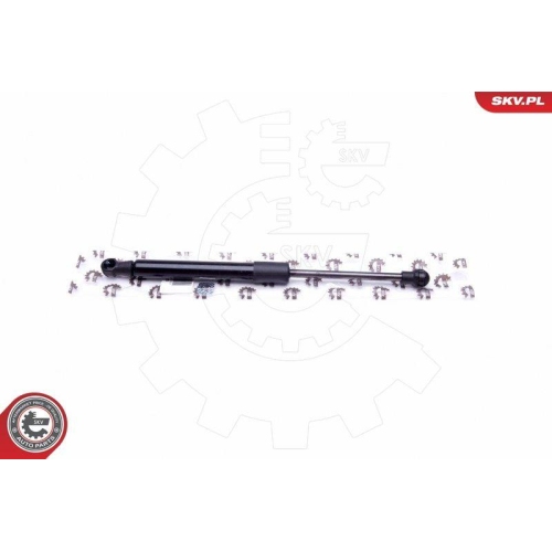 ESEN SKV Gasfeder, Koffer-/Laderaum