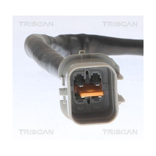 TRISCAN Lambdasonde