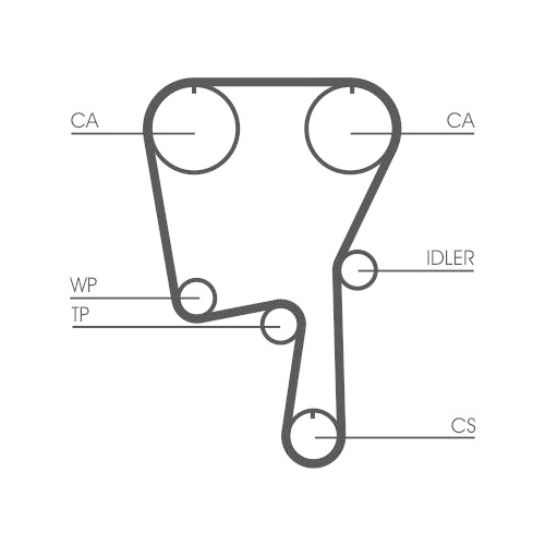 CONTINENTAL CTAM Zahnriemen