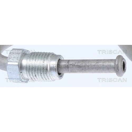 TRISCAN Bremsschlauch