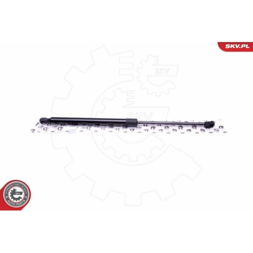 ESEN SKV Gasfeder, Koffer-/Laderaum