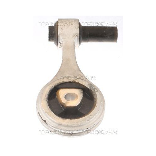 TRISCAN Lagerung, Motor