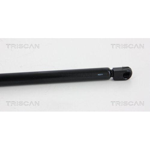 TRISCAN Gasfeder, Koffer-/Laderaum