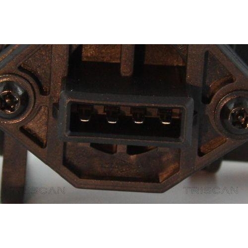 TRISCAN Luftmassenmesser