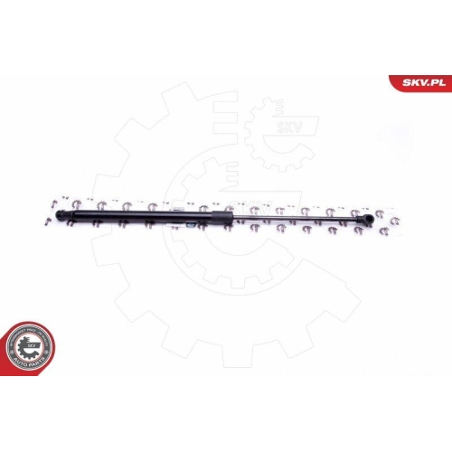 ESEN SKV Gasfeder, Koffer-/Laderaum