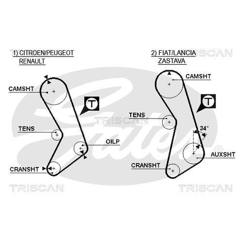 TRISCAN Zahnriemen