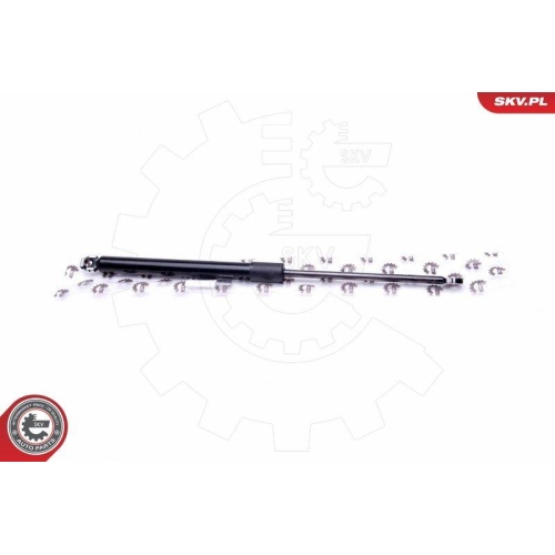 ESEN SKV Gasfeder, Koffer-/Laderaum