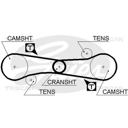 TRISCAN Zahnriemen