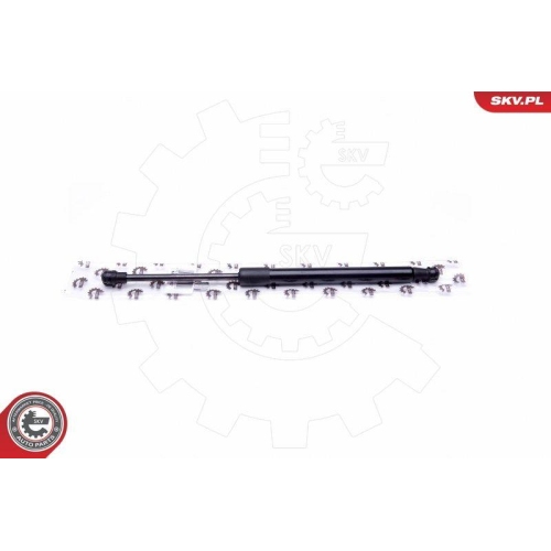 ESEN SKV Gasfeder, Koffer-/Laderaum