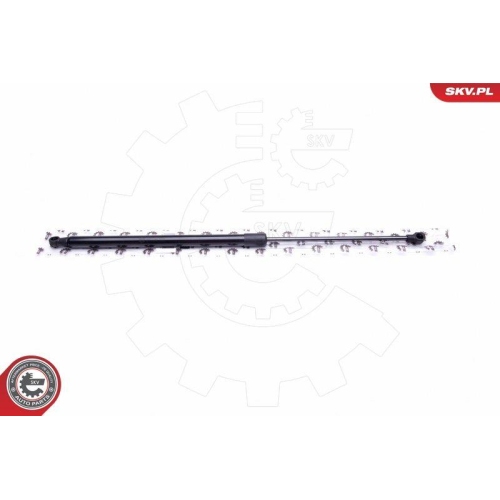 ESEN SKV Gasfeder, Koffer-/Laderaum