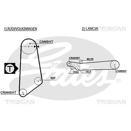 TRISCAN Zahnriemen