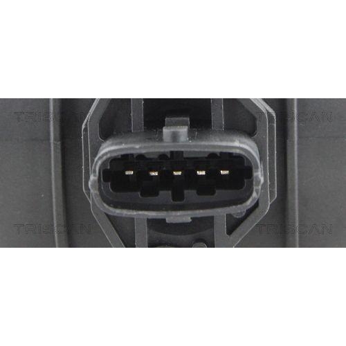 TRISCAN Luftmassenmesser