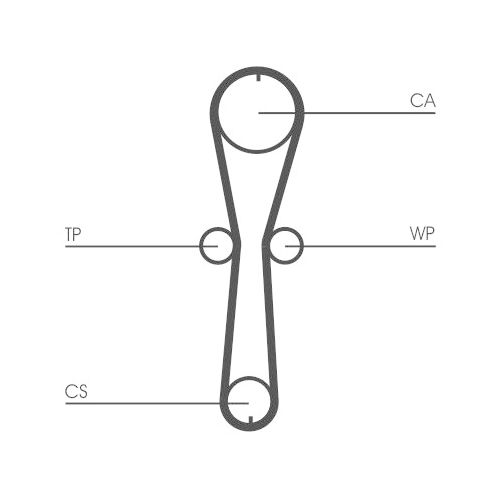 CONTINENTAL CTAM Zahnriemen