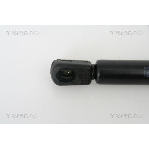TRISCAN Gasfeder, Koffer-/Laderaum