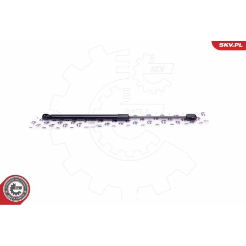 ESEN SKV Gasfeder, Koffer-/Laderaum