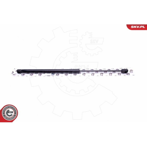 ESEN SKV Gasfeder, Koffer-/Laderaum