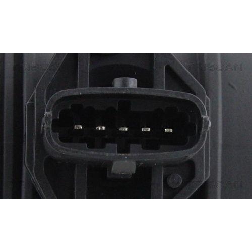 TRISCAN Luftmassenmesser