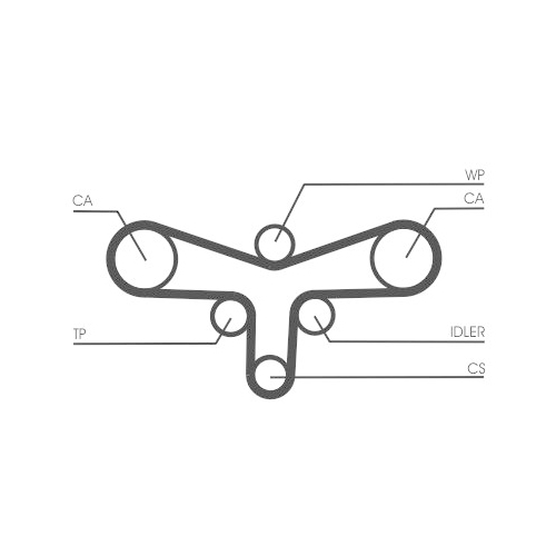 CONTINENTAL CTAM Zahnriemen