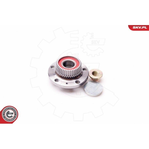 ESEN SKV Radlagersatz