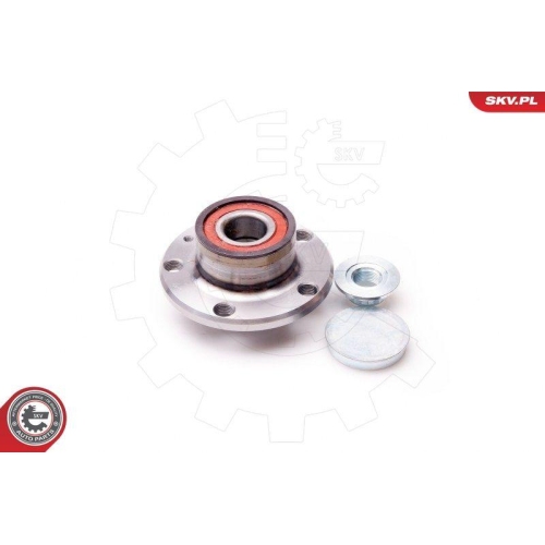 ESEN SKV Radlagersatz