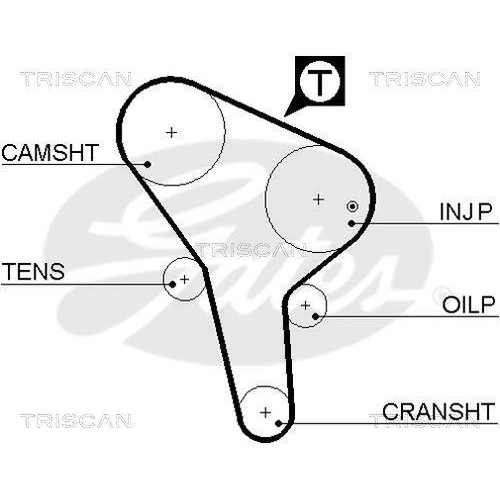 TRISCAN Zahnriemen