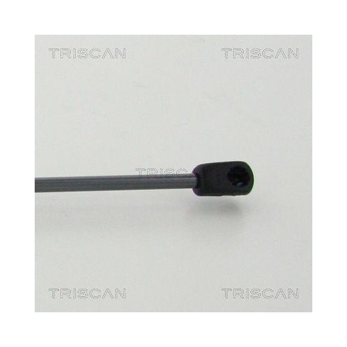 TRISCAN Gasfeder, Koffer-/Laderaum