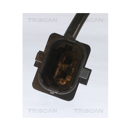 TRISCAN Sensor, Abgastemperatur