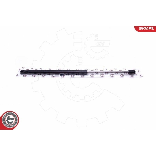 ESEN SKV Gasfeder, Koffer-/Laderaum