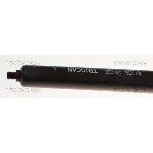 TRISCAN Gasfeder, Koffer-/Laderaum