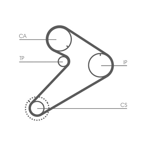 CONTINENTAL CTAM Zahnriemen