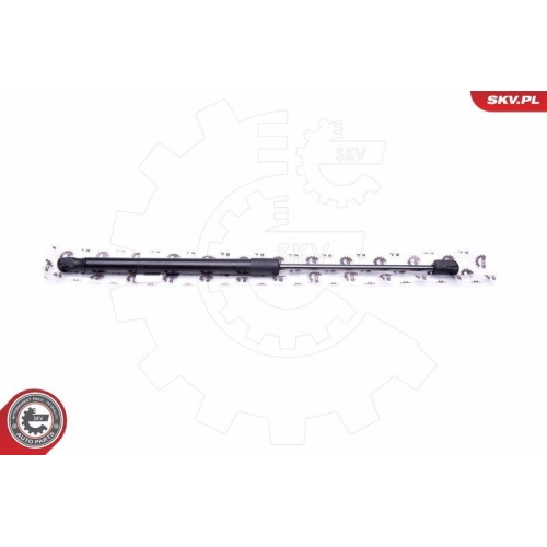 ESEN SKV Gasfeder, Koffer-/Laderaum