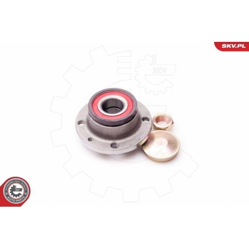 ESEN SKV Radlagersatz