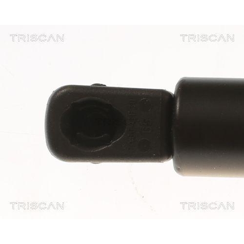 TRISCAN Gasfeder, Koffer-/Laderaum