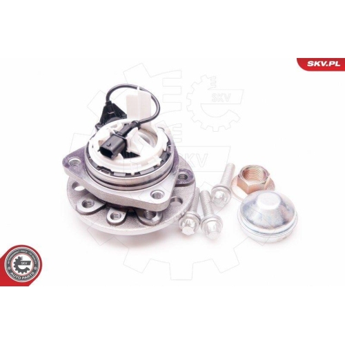 ESEN SKV Radlagersatz