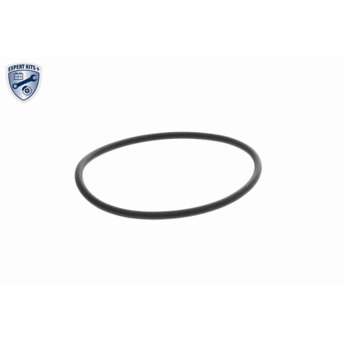 VAICO Saugrohrmodul EXPERT KITS +